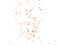 Orphans 02. From the Orphans Series of Photographs by Dylan Strickland. Beauty photography with original photograph removed, leaving only edits.