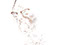Orphans 03. From the Orphans Series of Photographs by Dylan Strickland. Beauty photography with original photograph removed, leaving only edits.