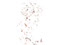 Orphans 04. From the Orphans Series of Photographs by Dylan Strickland. Beauty photography with original photograph removed, leaving only edits.